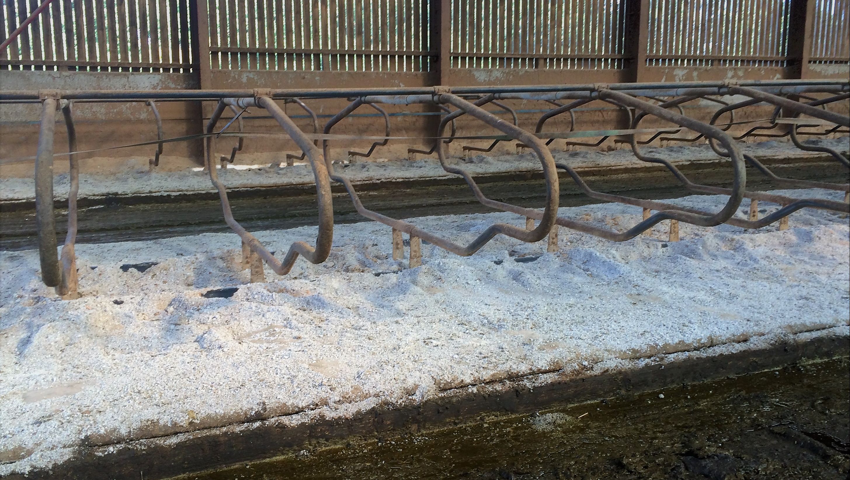 Paper Crumble Bedding