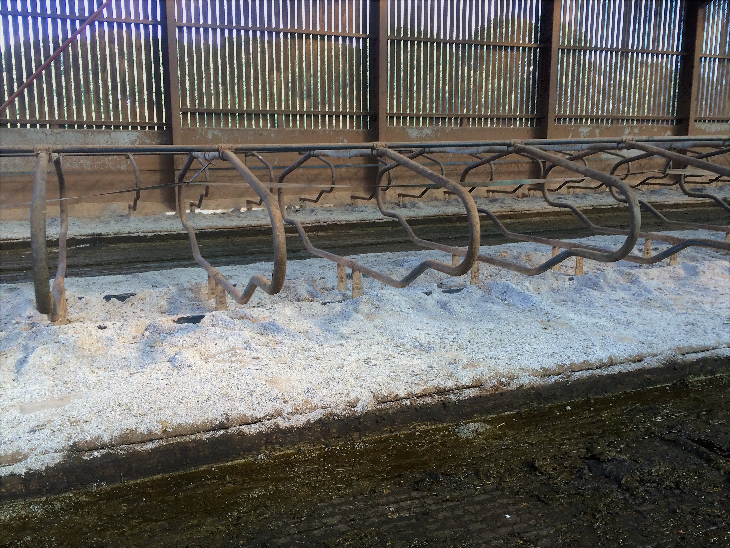 Paper Crumble Bedding